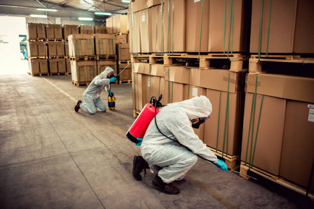 Best Best Pest Control Companies  in West Odessa, TX