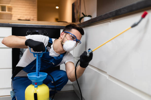 Pest Prevention Services in West Odessa, TX