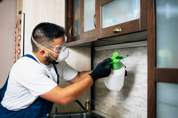 Best Pest Control Near Me in West Odessa, TX