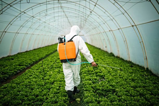 Best Best Pest Control Companies  in West Odessa, TX