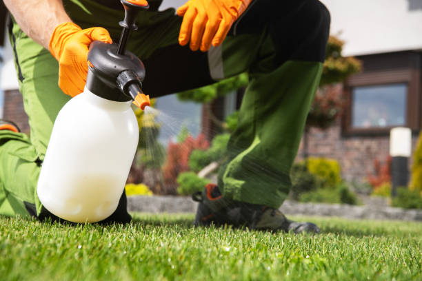 Best Local Pest Control Services  in West Odessa, TX
