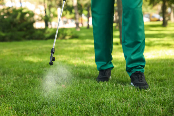 Best Cockroach Control Services  in West Odessa, TX