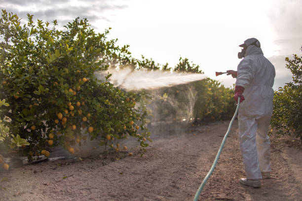 Best Commercial Pest Control Services  in West Odessa, TX
