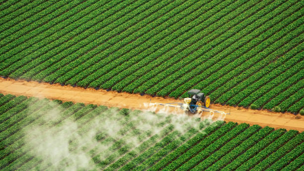 Professional Pest Control in West Odessa, TX