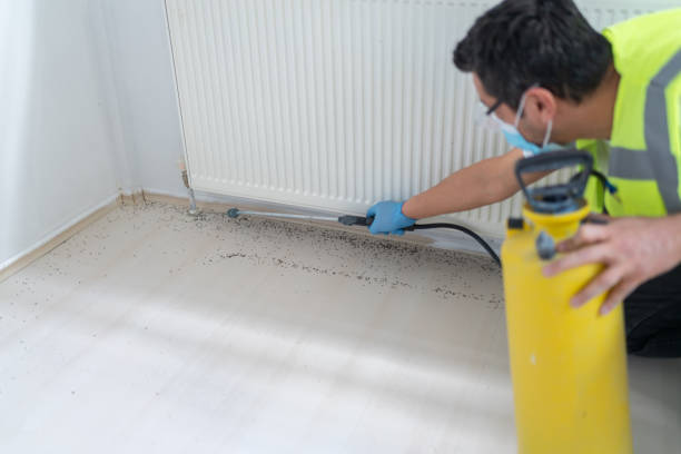 Best Affordable Pest Control Services  in West Odessa, TX