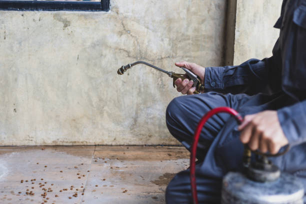 Best Exterminator Services  in West Odessa, TX